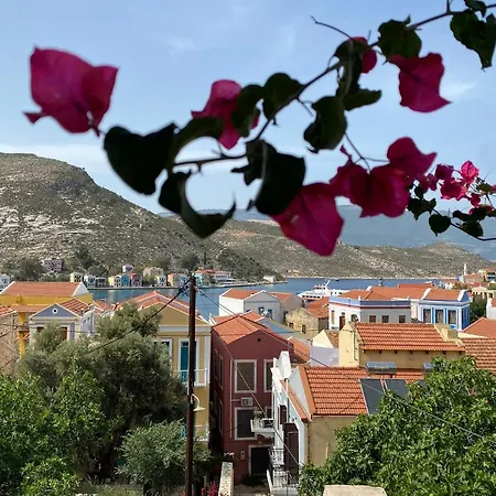 Kasa Antika Tatil Evi *